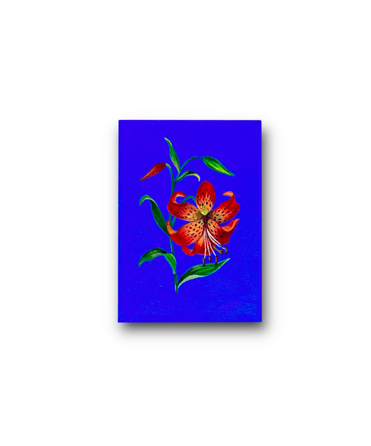 Red Lily 5 x 7 In