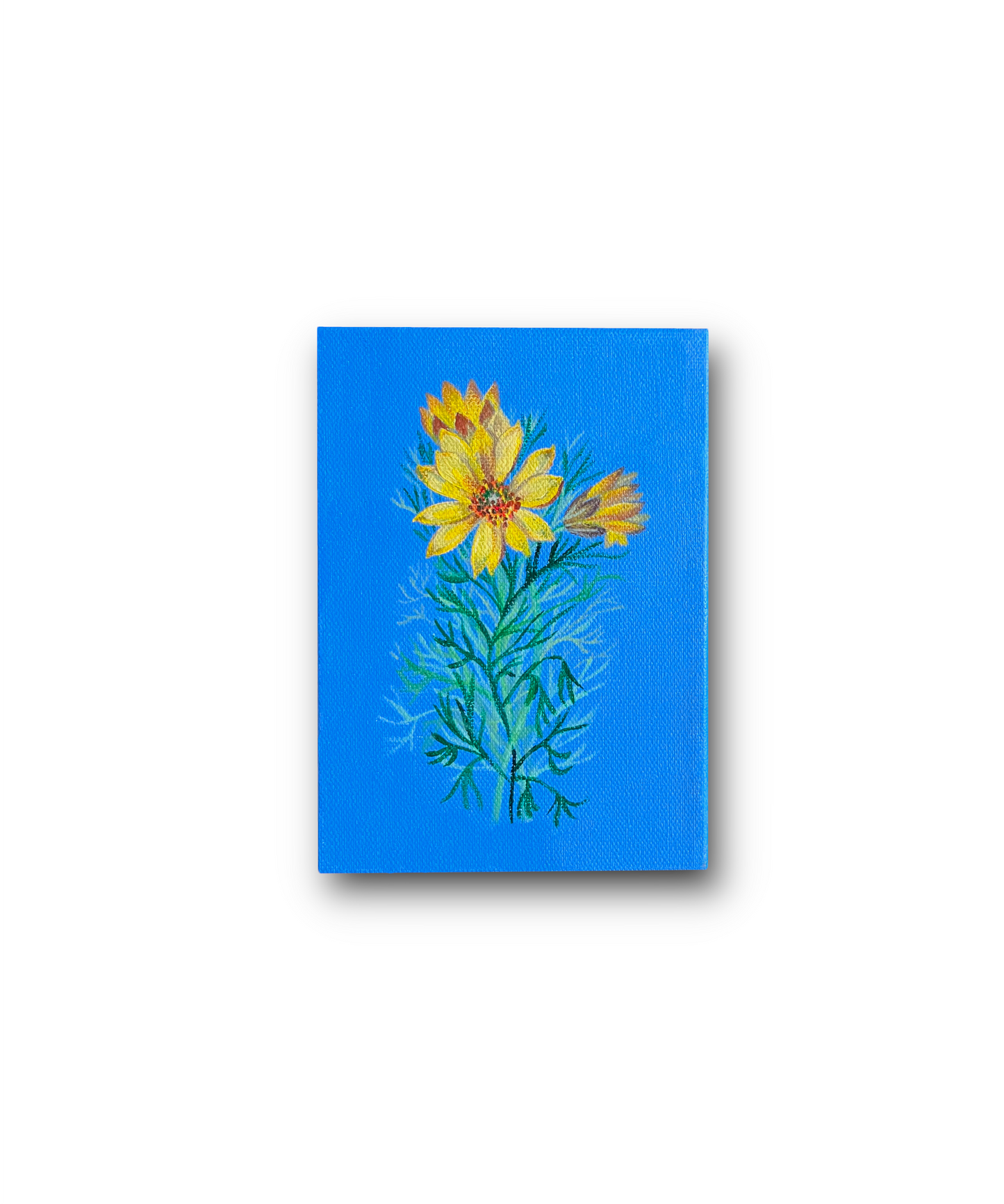 Yellow Daisy 5 x 7 In